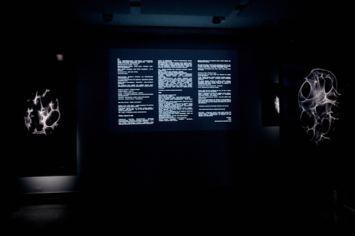 Anna Fijałkowska - PRV_1790.jpg