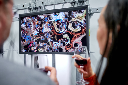 Anna Fijałkowska - PRV_2057.jpg