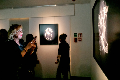 Anna Fijałkowska - PRV_2133.jpg