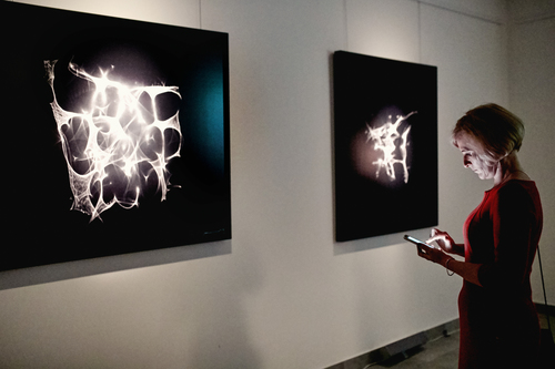 Anna Fijałkowska - PRV_2790.jpg