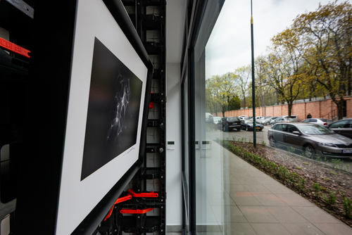 Wojciech Dziedzic - _WDF3980_MRJL_NEY_12.04.19.jpg