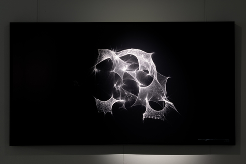 Wojciech Dziedzic - _WDF3994_MRJL_NEY_12.04.19_1.jpg