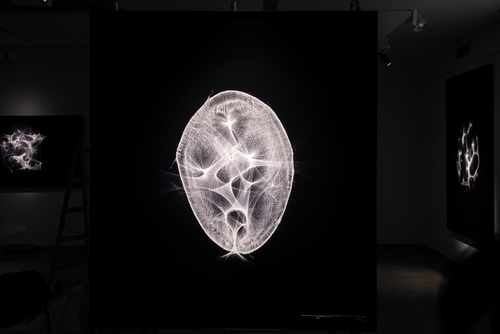 Wojciech Dziedzic - _WDF4028_MRJL_NEY_12.04.19.jpg