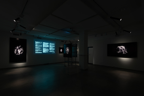 Wojciech Dziedzic - _WDF4032_MRJL_NEY_12.04.19.jpg