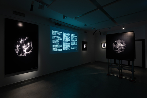 Wojciech Dziedzic - _WDF4037_MRJL_NEY_12.04.19.jpg