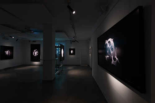 Wojciech Dziedzic - _WDF4055_MRJL_NEY_12.04.19.jpg