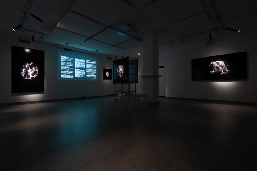 Wojciech Dziedzic - _WDF4059_MRJL_NEY_12.04.19.jpg