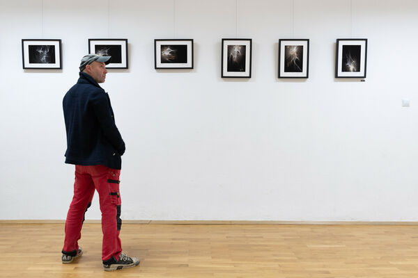 Wojciech Dziedzic - 05-Wydarzenia-Wojciech_dziedzic.jpg